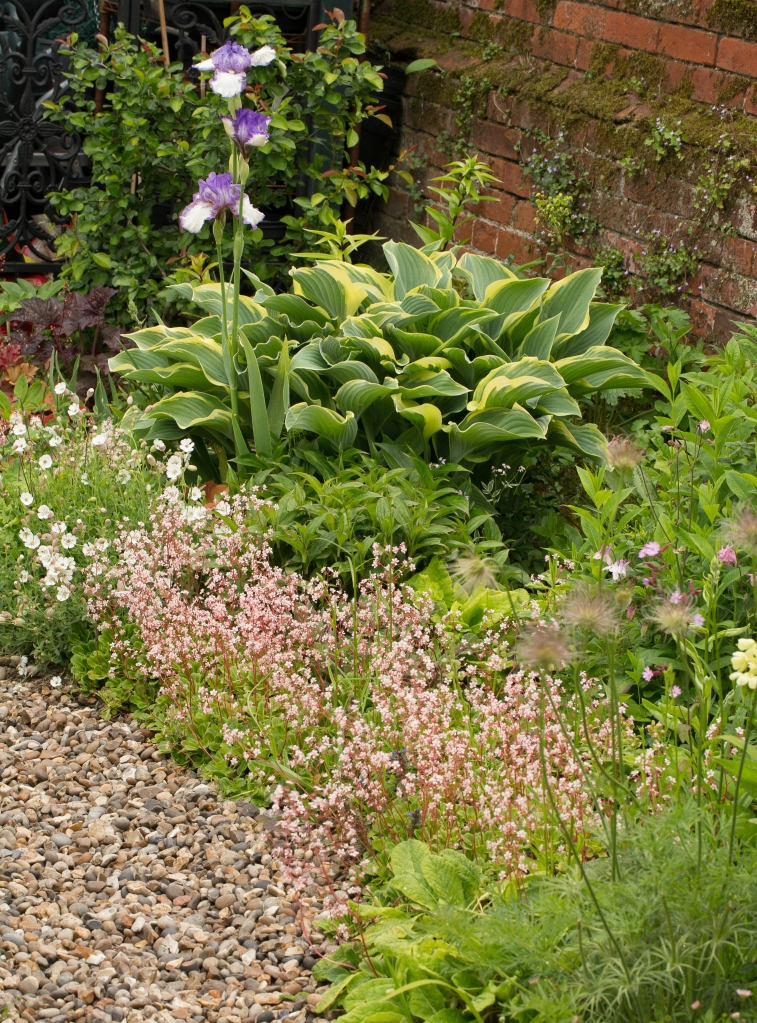 Cottage planting and gravel path - a perfect combination ...
